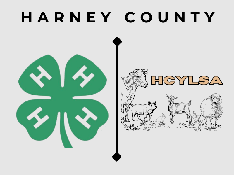 Logo for 2024 Harney County 4H and Youth Livestock Show & Auction